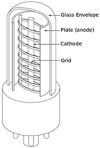 Triode Vacuum Tube