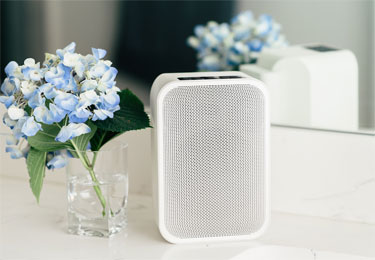 Bluesound Pulse Flex 2i And Pulse Mini 2i Review