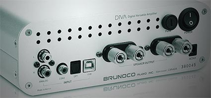 Brunoco Audio DiVA Integrated Amplifier With DAC Rear Panel