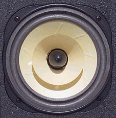 Moth Audio Cicadia 7.5" Driver