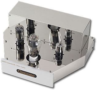 Coincident Speaker Technology Frankenstein Mk II Monoblock Amplifier 
