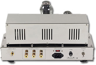 Coincident Speaker Technology Frankenstein Mk II Monoblock Amplifier