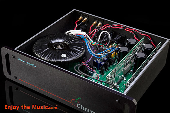 Digital Amplifier Company MEGAschino MK2 Mono Amplifiers Review