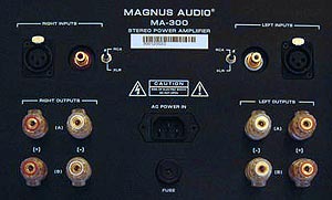 Canary Audio Mangus MA300 Stereo Amplifier