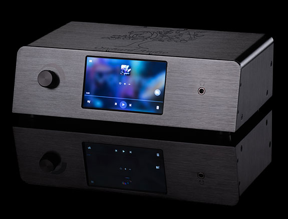 Orchard Audio PecanPi+ Streamer Premium Review