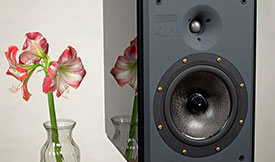 Reference 3A Reflector Stand Mounted Monitor Review