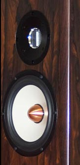 Salk Sound Veracity HT1-TL