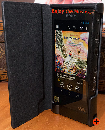 Sony CKL-NWZX2 Black Leather Case