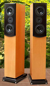 Salk Signature Sound SongTower QWT Loudspeaker