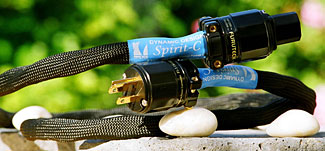 Dynamic Design Spirit Digital