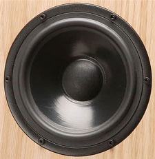 A.R.T. Loudspeaker Stiletto 6 Woofer