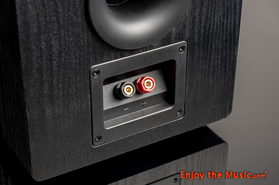 SVS Pinnacle 3.5-Way Floorstanding Speakers Review